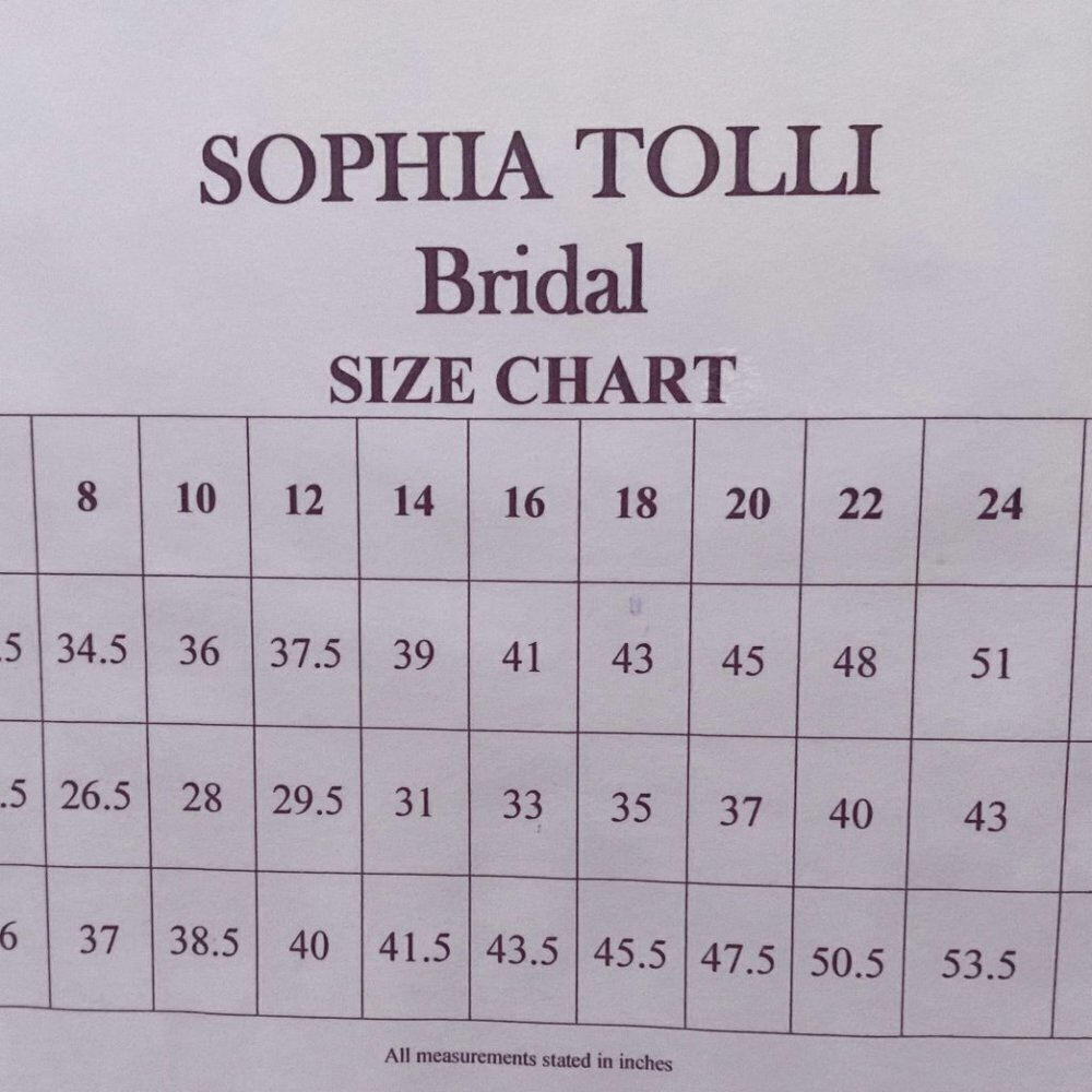 Sophia Tolli Sissy Y21440 Wedding Dress - Picture 12 of 12